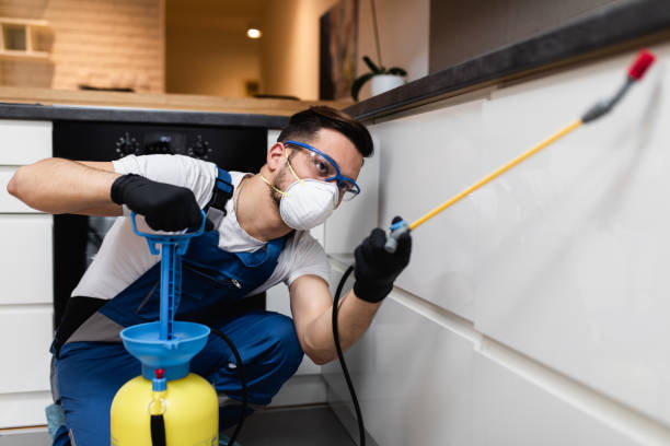 Best Pest Removal Services  in Catlettsburg, KY
