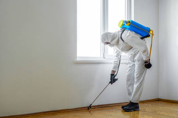 Best Wasp Removal Services  in Catlettsburg, KY