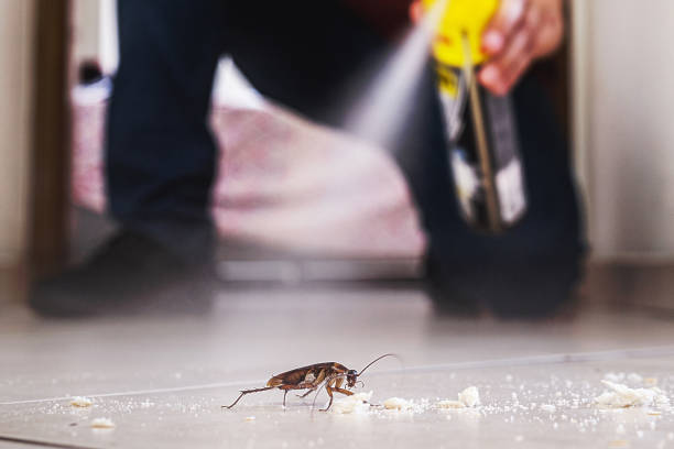Trusted Catlettsburg, KY Pest Control Experts