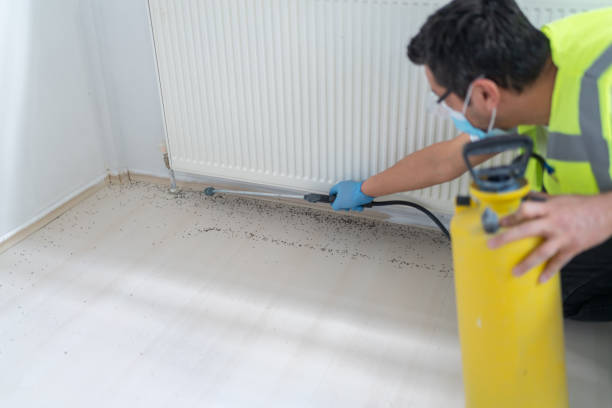 Best Commercial Pest Control Services  in Catlettsburg, KY